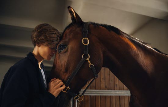 Gutt som koser med hest i stallen.