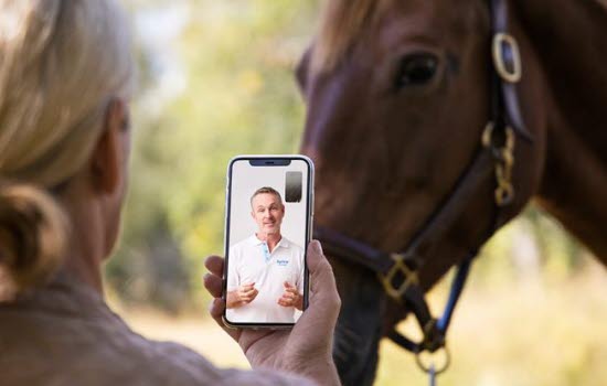 Kvinne filmer hest og får veterinærrådgivning i Agria-appen
