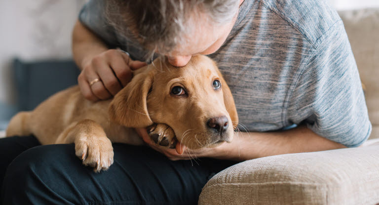 Man som kysser en hund på hodet