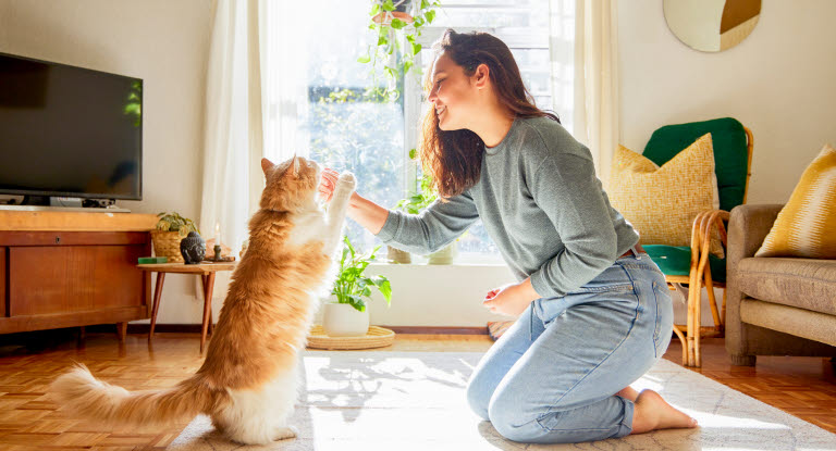 Katt og dame som trener på triks