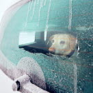 Hund i kald bil