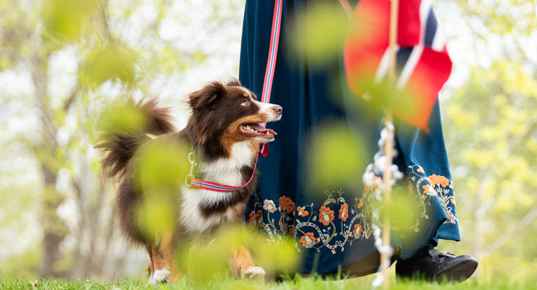 Hund og eier i bunad på 17.mai