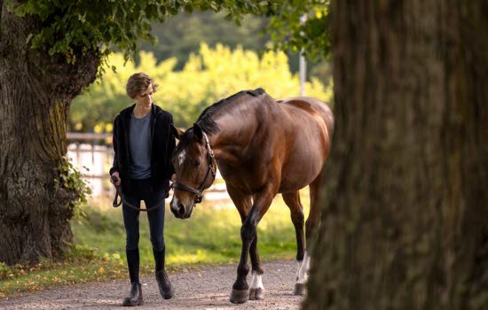 Gutt går med hest utendørs