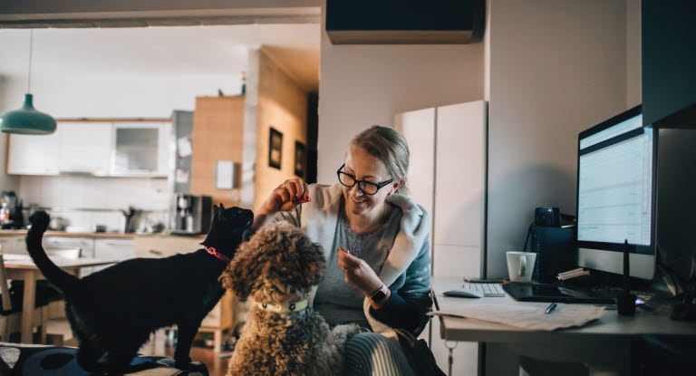 Dame som sitter på hjemmekontor med hund og katt