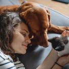 Dane som holder en kattunge i hånden. Ved siden av ligger en brun hund